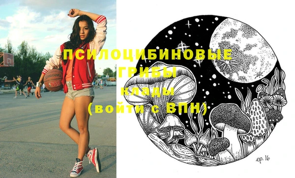 не бодяженный Братск