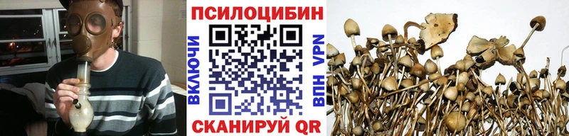 Галлюциногенные грибы мицелий  купить   Ильский 