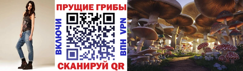 Галлюциногенные грибы MAGIC MUSHROOMS Ильский
