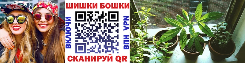 Канабис SATIVA & INDICA  Ильский 